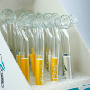 BENDED GLASS PIPE with filter - pack of 100 pcs